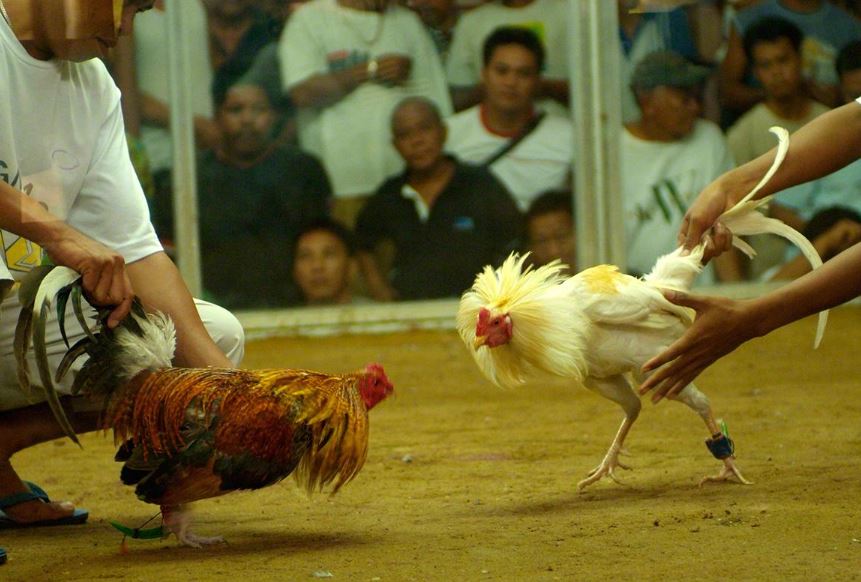 Những "Tử Huyệt" Cần Tránh Xa (Vảy Xấu)